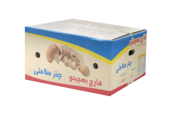 اریا کارتن کبیر یزد