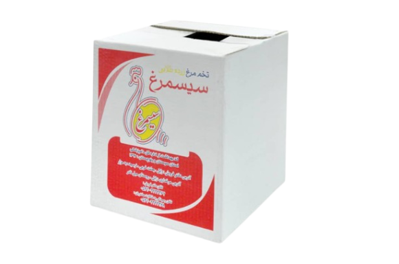 اریا کارتن کبیر یزد