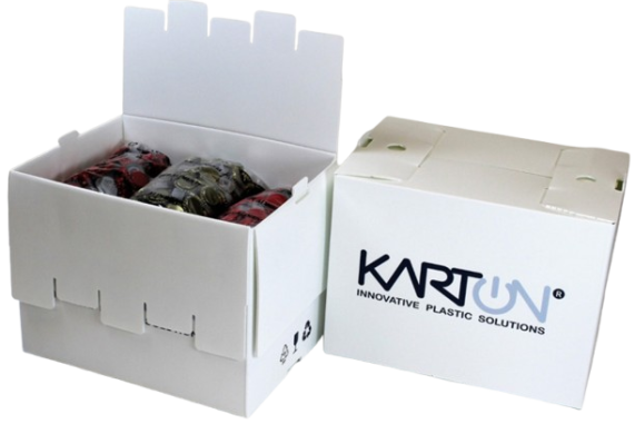کارتن پلاست اریا کارتن